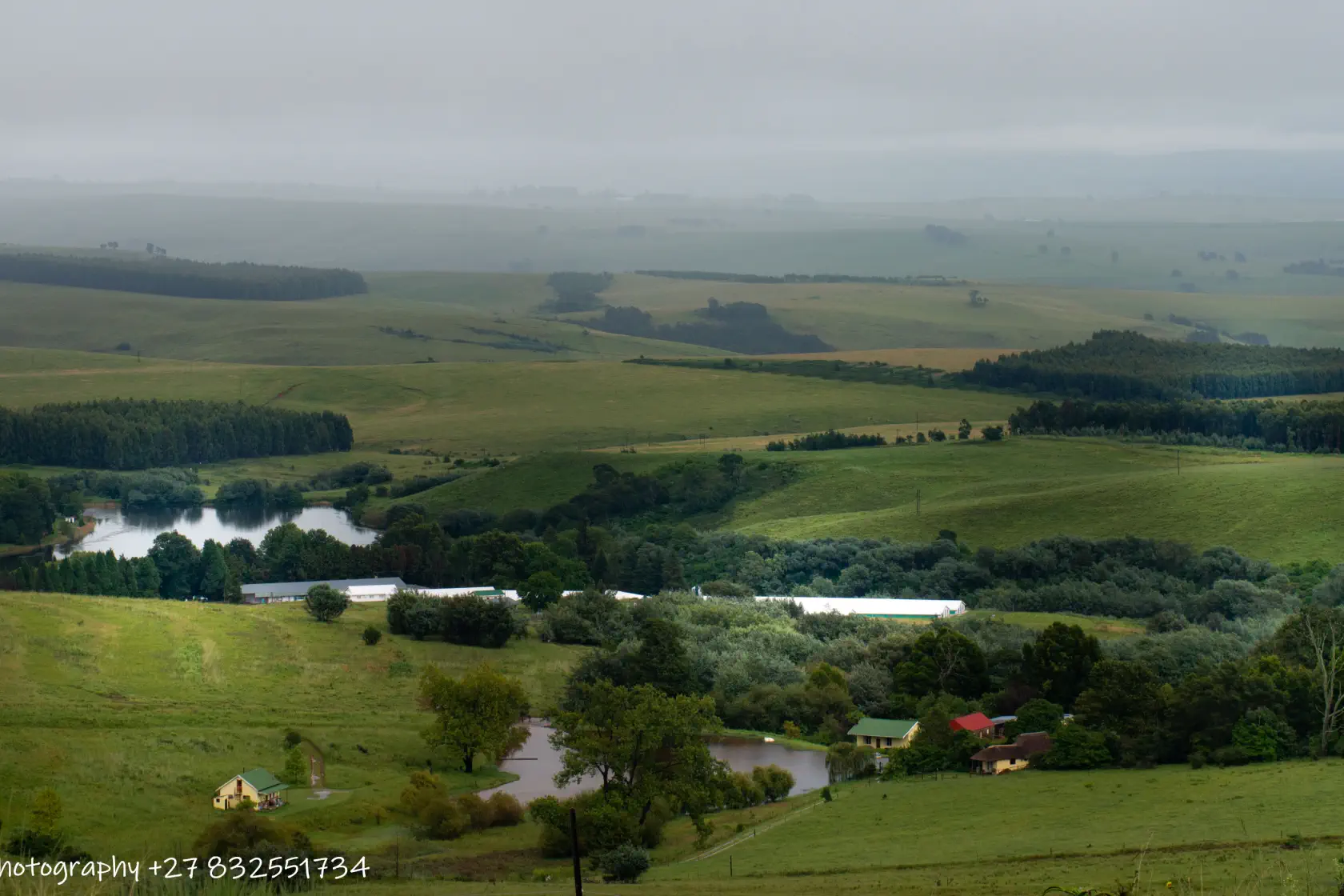 Enfin Estate Wedding