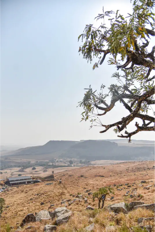 Enfin Estate Wedding